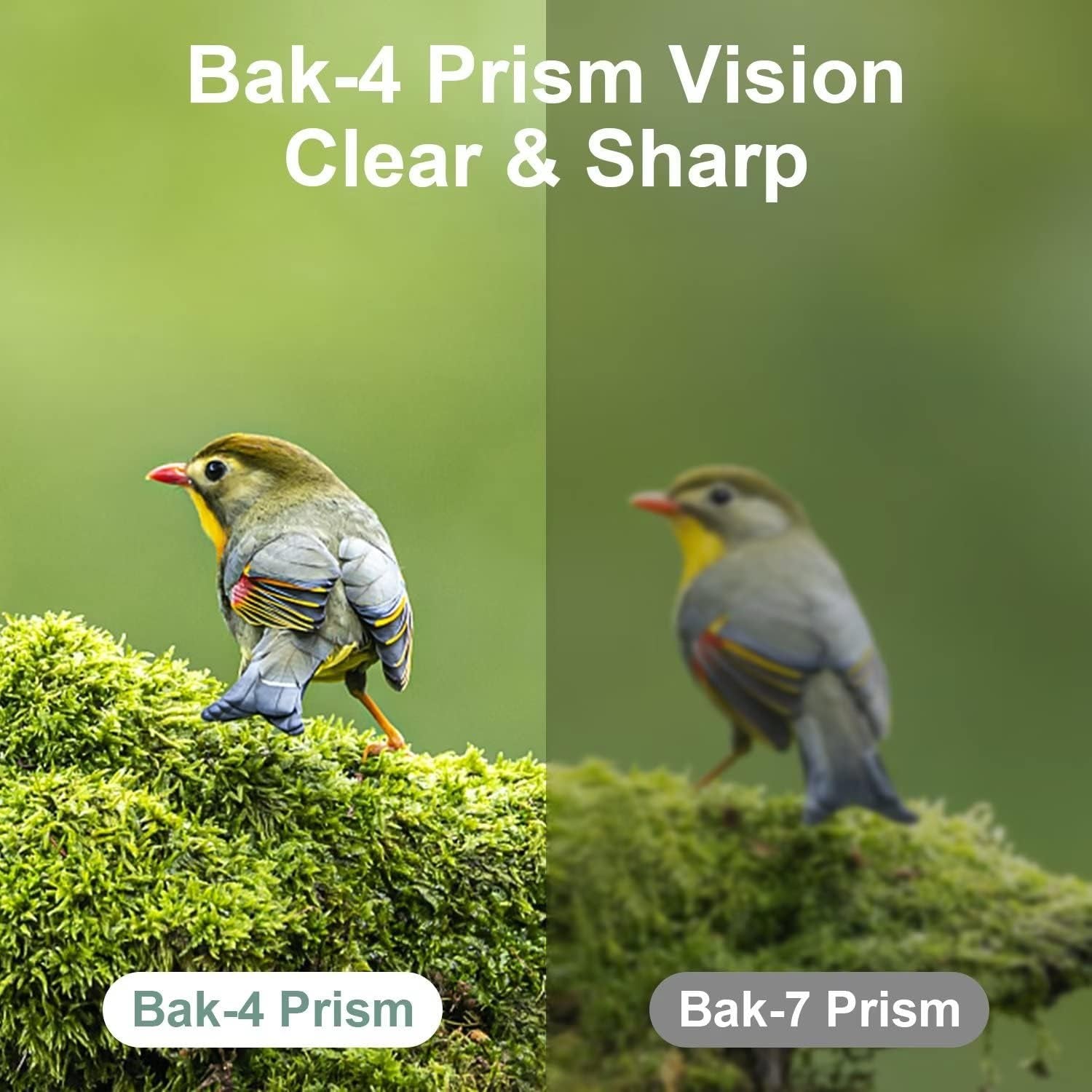 12X25 Mini Pocket Binoculars for Adults Kids, Small Compact Binoculars for Bird Watching, Opera Concert