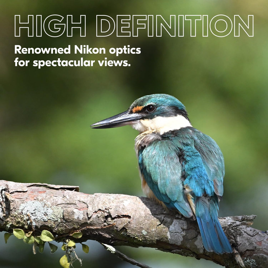PROSTAFF P3 10X42 Binocular | Waterproof, Fogproof, Rubber-Armored Full-Size Binocular, Wide Field of View & Long Eye Relief | Official  USA Model