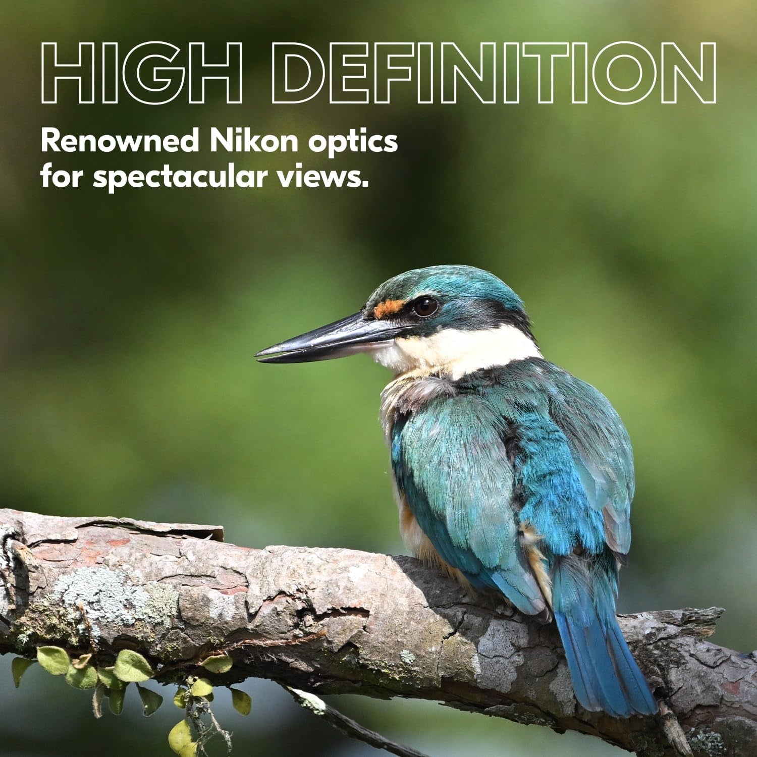 PROSTAFF P3 10X42 Binocular | Waterproof, Fogproof, Rubber-Armored Full-Size Binocular, Wide Field of View & Long Eye Relief | Official  USA Model