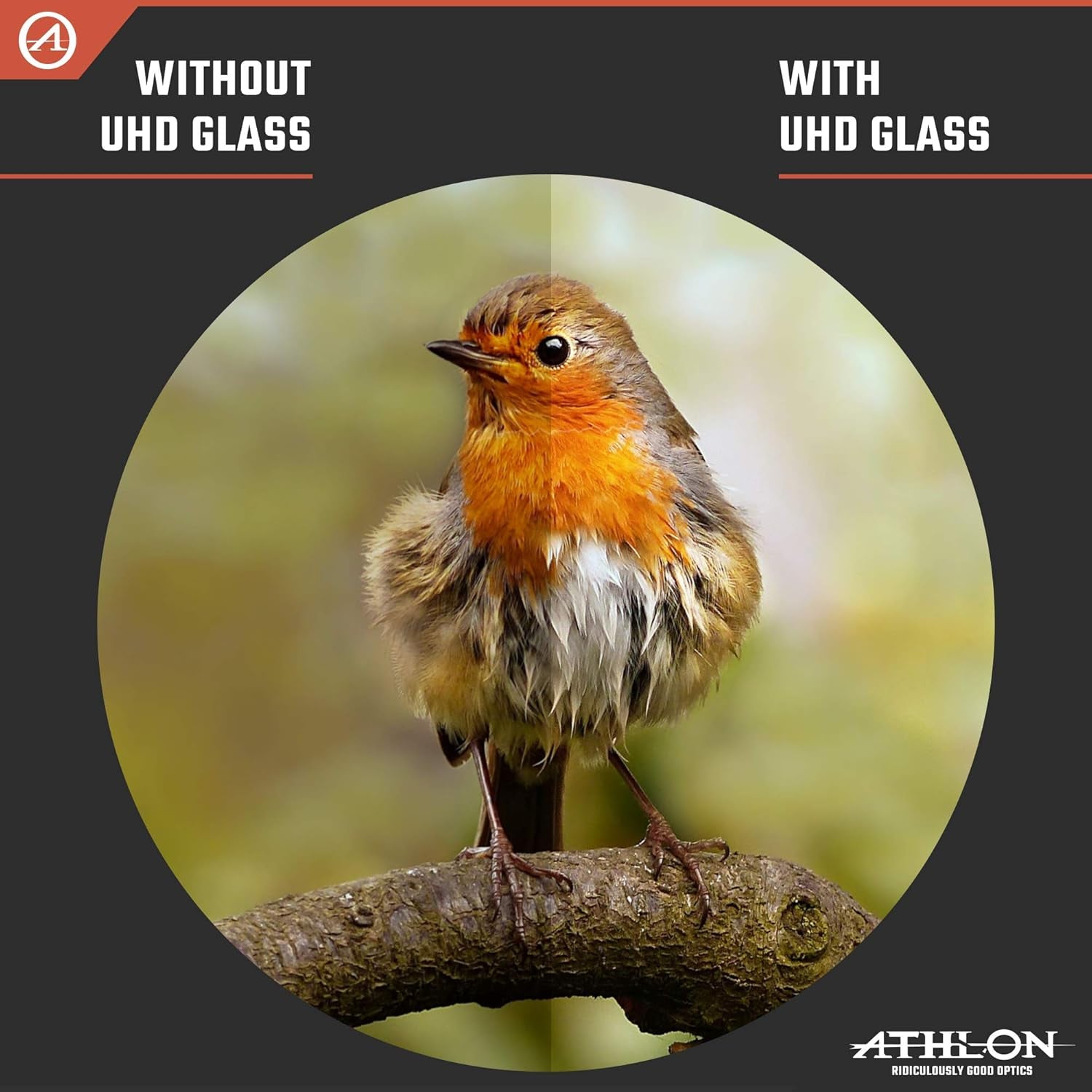 8X42 Midas UHD Gray Binoculars with ED Glass for Adults and Kids, High-Powered Binoculars for Hunting, Birdwatching, and More