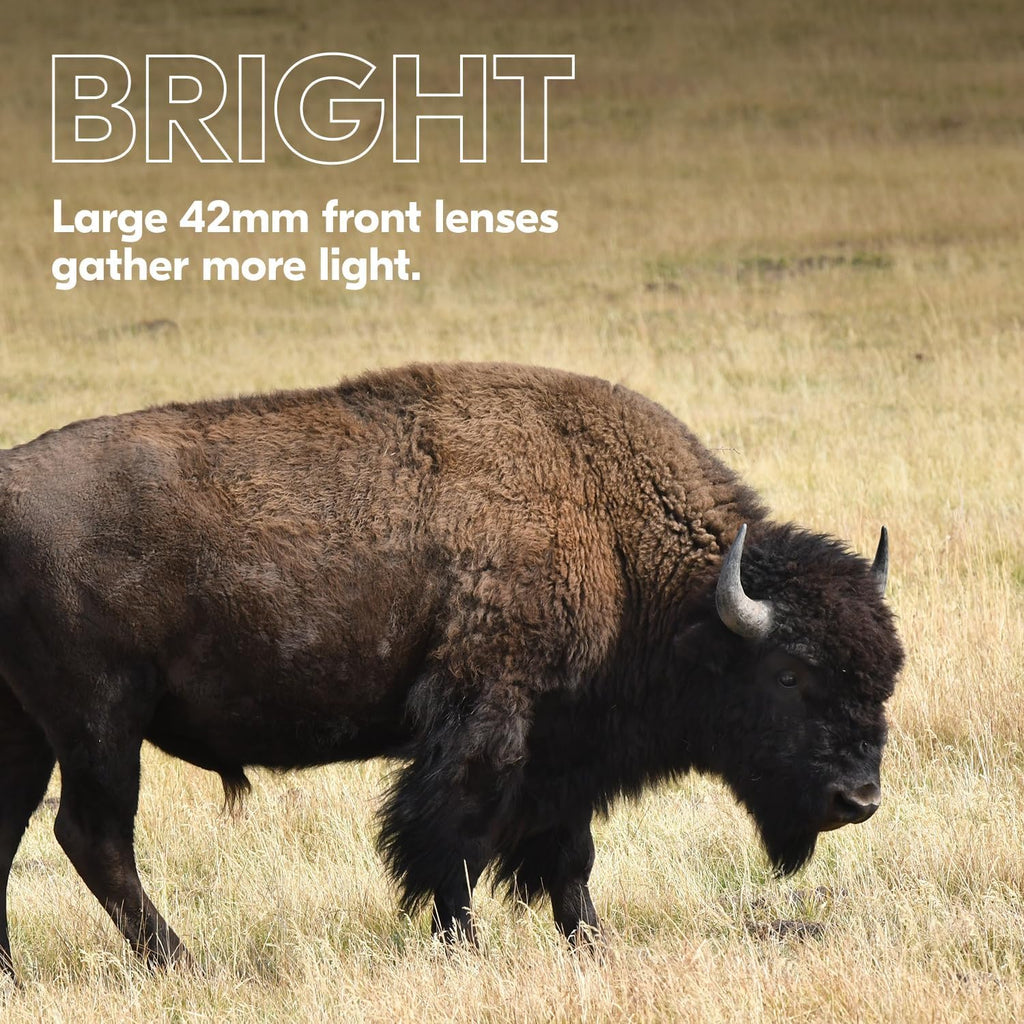 PROSTAFF P3 10X42 Binocular | Waterproof, Fogproof, Rubber-Armored Full-Size Binocular, Wide Field of View & Long Eye Relief | Official  USA Model