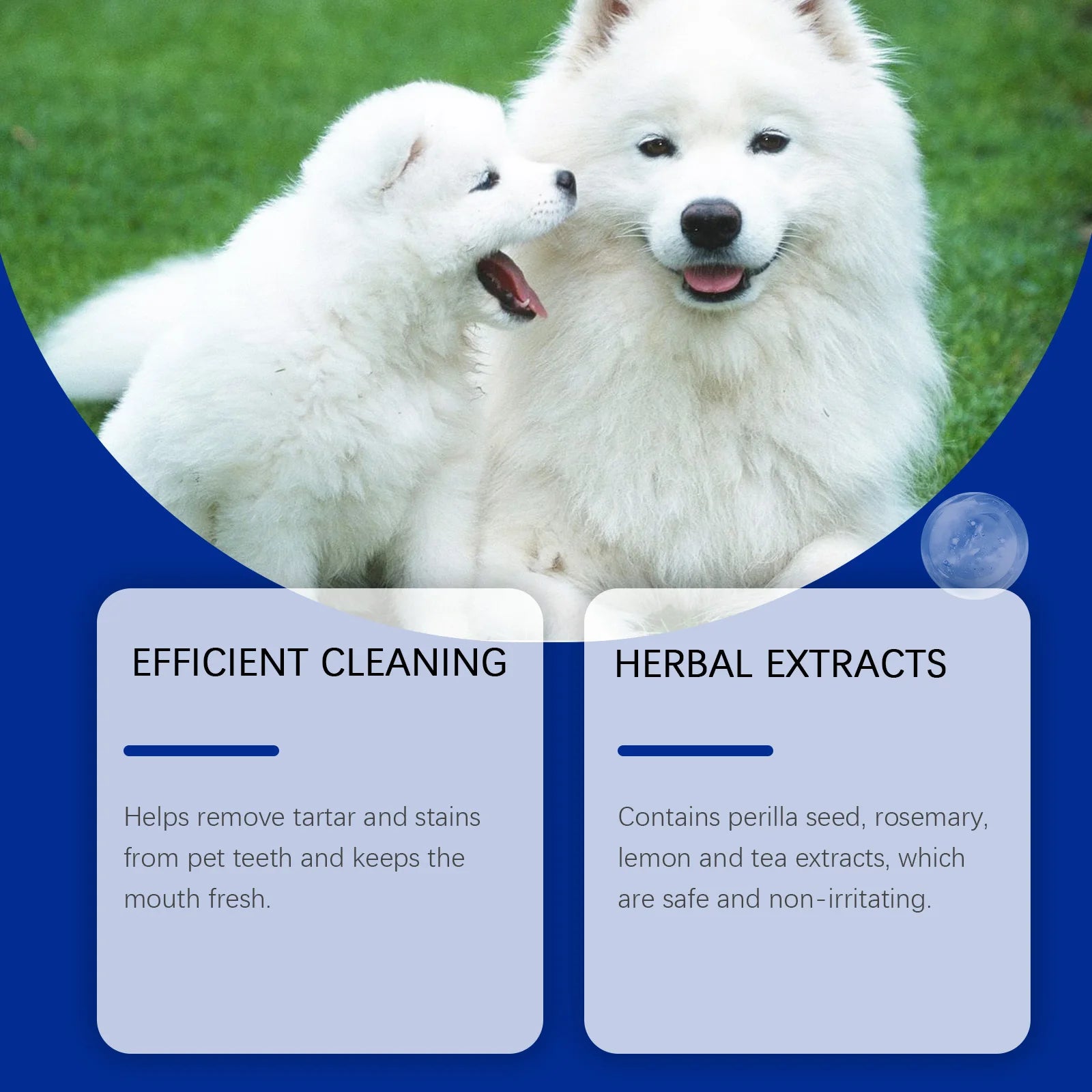 Yegbong Dog Teeth Cleaning Powder Gentle Remove Teeth Stains Prevent Tartar and Plaque Eliminate Bad Breath Pet Teeth Cleaner