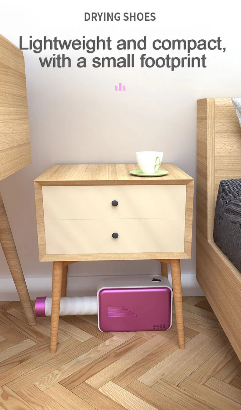 110V/220V Electric Clothes Dryer Laundry Multifunction Quickly Drying Clothes Shoes Warm air Clothes Dryer Heater Drying Machine