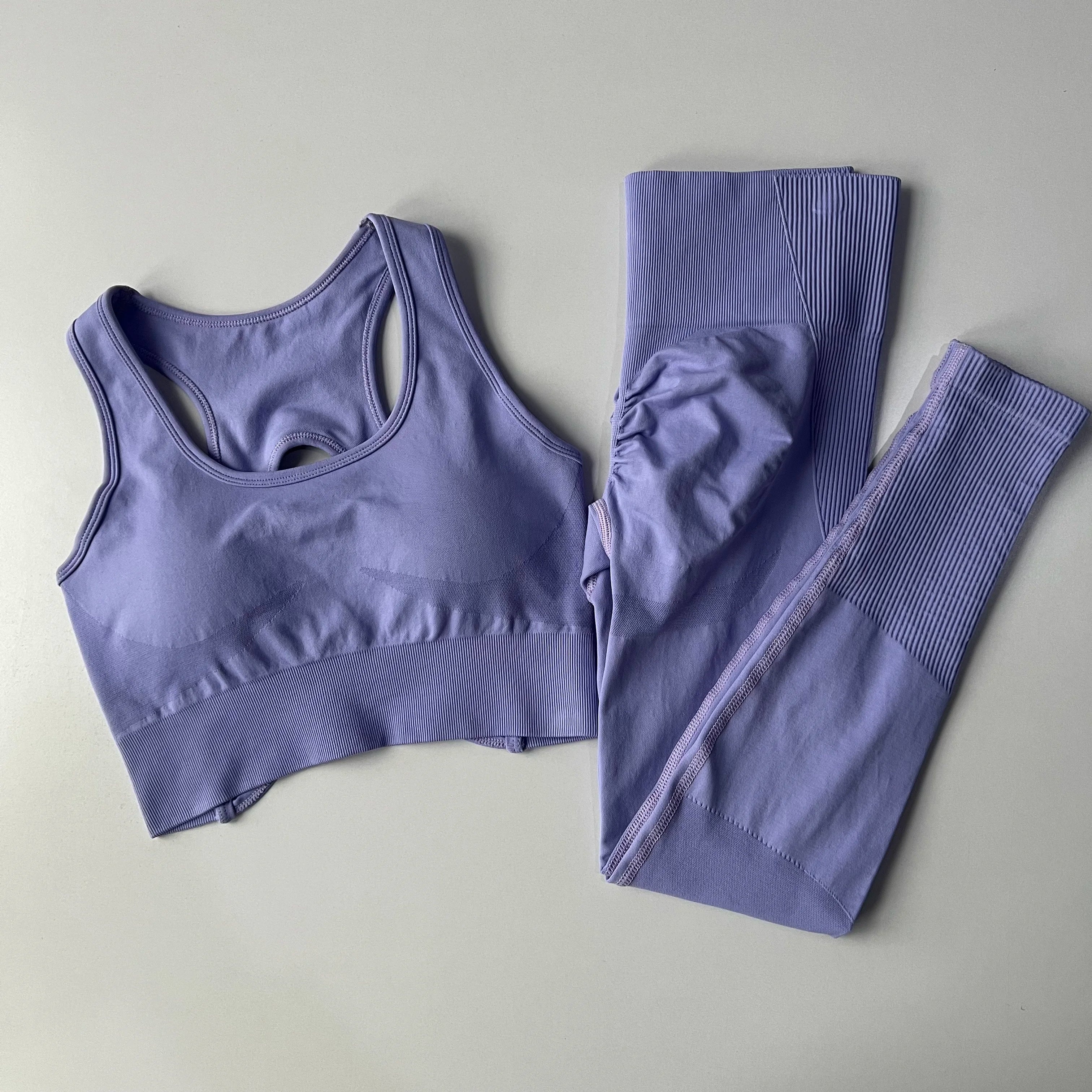 Peach Butt Lift Quick Dry Yoga Suit Set Fitness Pants High Waisted Leggings with Sports Bras Peach Butt Lift Lift Fitness Set