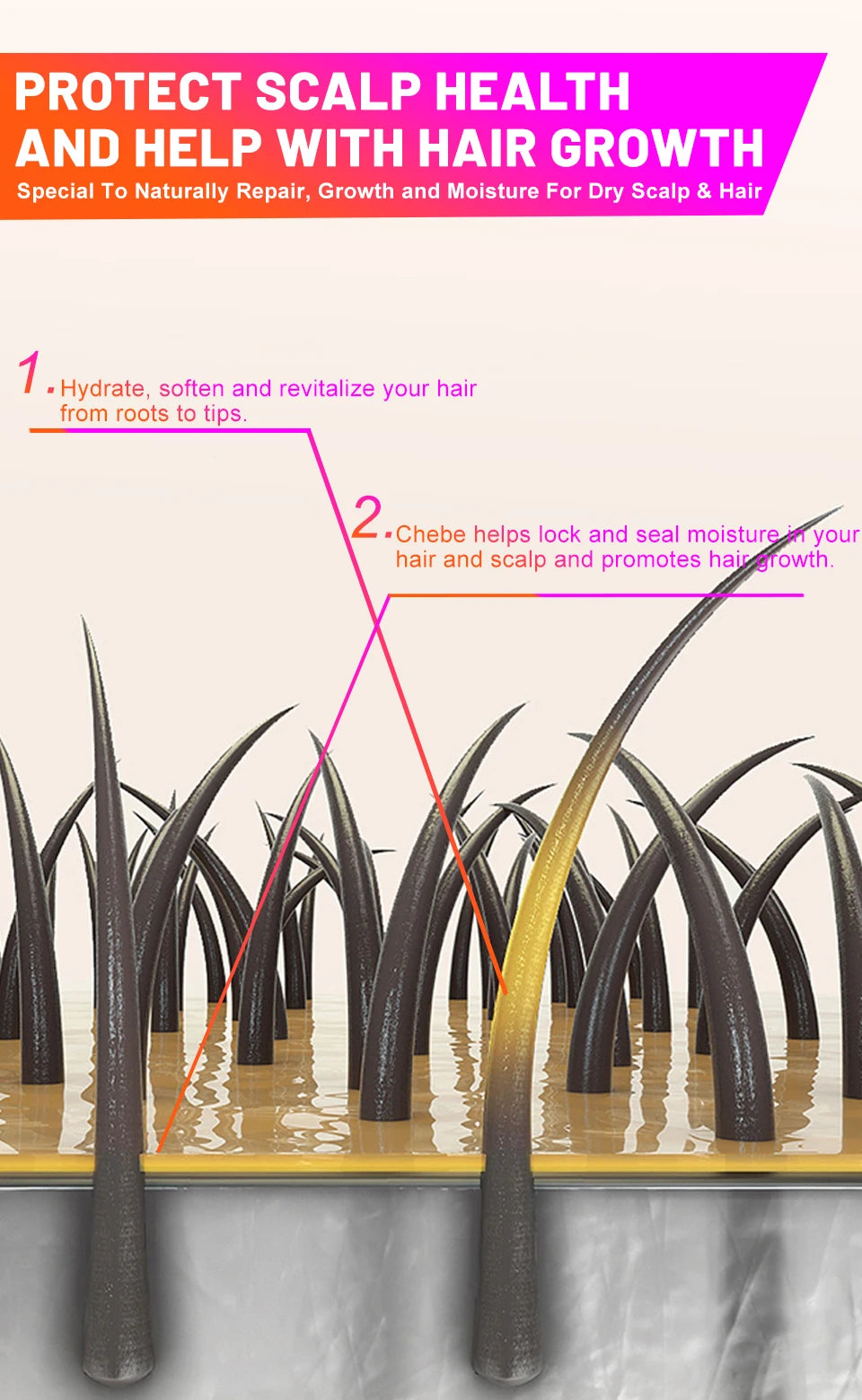 Sevich Fast Hair Growth Chebe Set – Anti Hair Loss & Repair Treatment