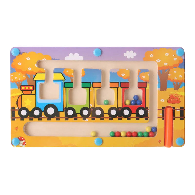 Magnetic Sorting Games Montessori Puzzle Toys Maze Board Learning Color Montessori Classification Wooden Educational Toys