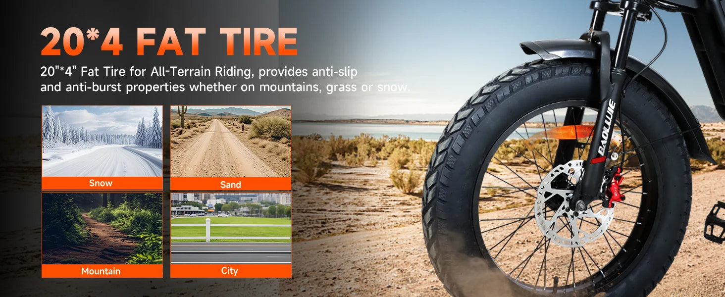 BAOLUJIE DM01 Electric Bike for Adults — 60V 2000W, Up to 42 MPH, Long-Range