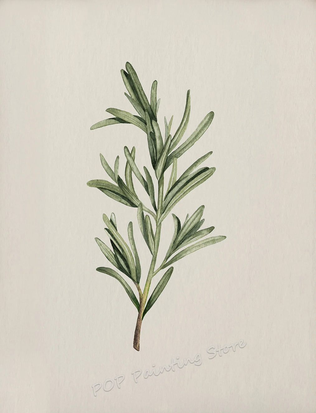 Minimalist Vegetable Canvas Wall Art – Sage Green Botanical (Onion & Carrot) Poster