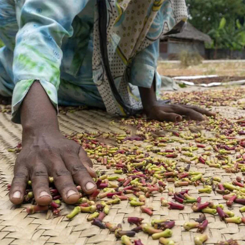 Fast Hair Growth Set – Batana Oil & Hair Mask for Traction Alopecia, Anti-Breakage & Baldness Repair (120g + 50ml)