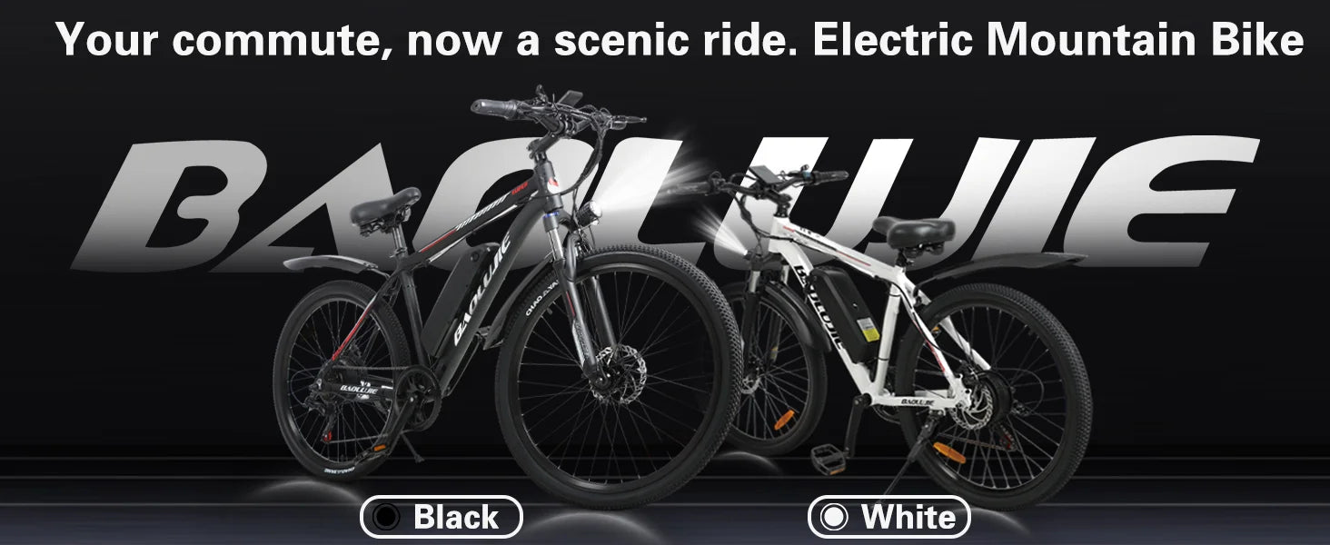 BAOLUJIE DM01 Electric Bike for Adults — 60V 2000W, Up to 42 MPH, Long-Range