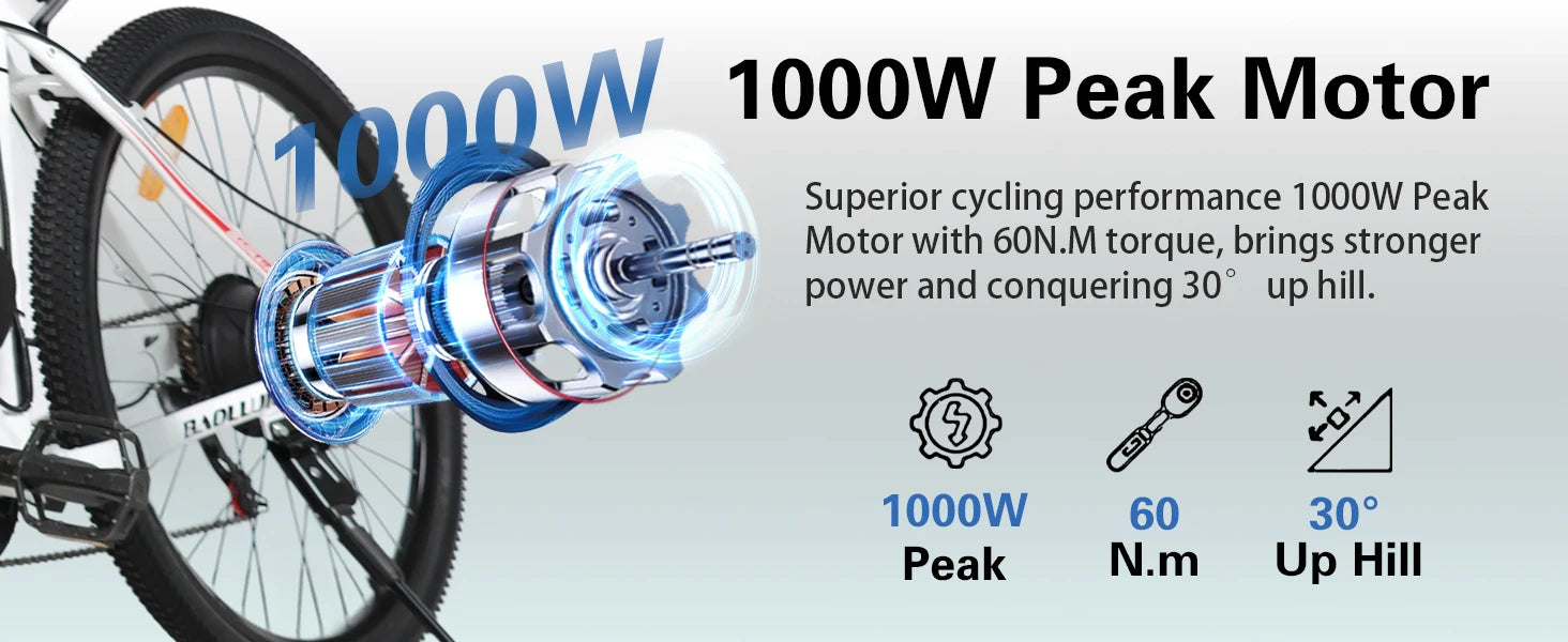 BAOLUJIE DM01 Electric Bike for Adults — 60V 2000W, Up to 42 MPH, Long-Range