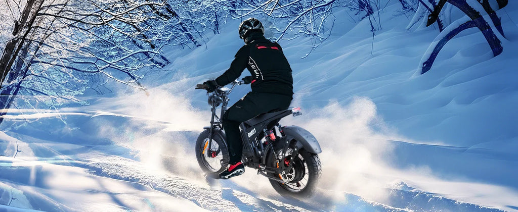 BAOLUJIE DM01 Electric Bike for Adults — 60V 2000W, Up to 42 MPH, Long-Range