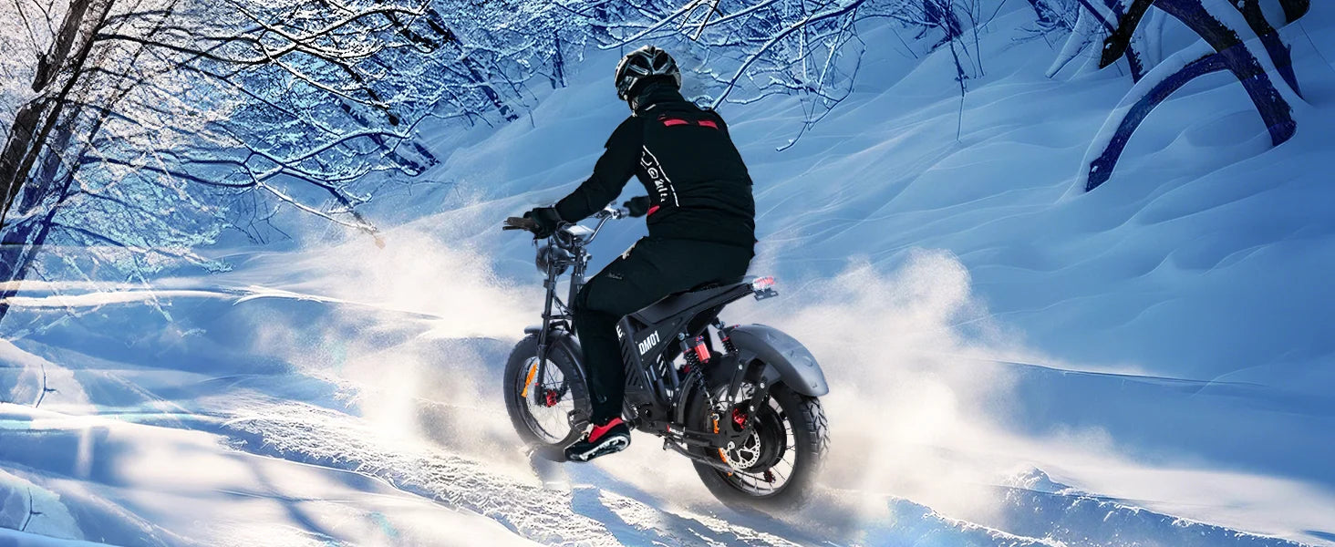 BAOLUJIE DM01 Electric Bike for Adults — 60V 2000W, Up to 42 MPH, Long-Range