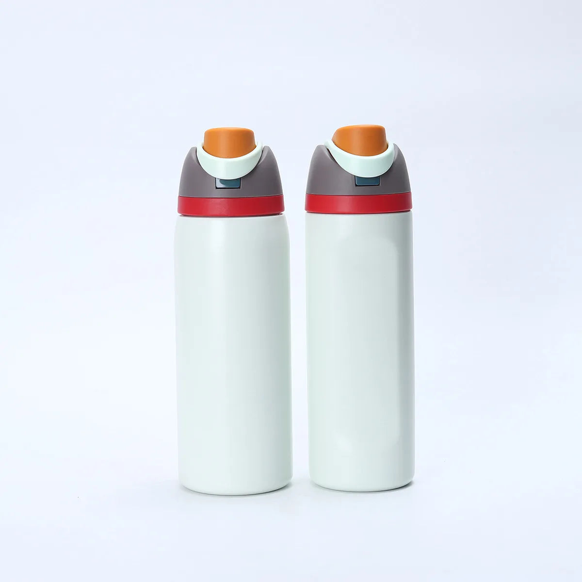 24Oz Insulated Stainless Steel Water Bottle with Straw BPA Free Leakproof Bottle Daily Sports Use Prefect Gift for Women