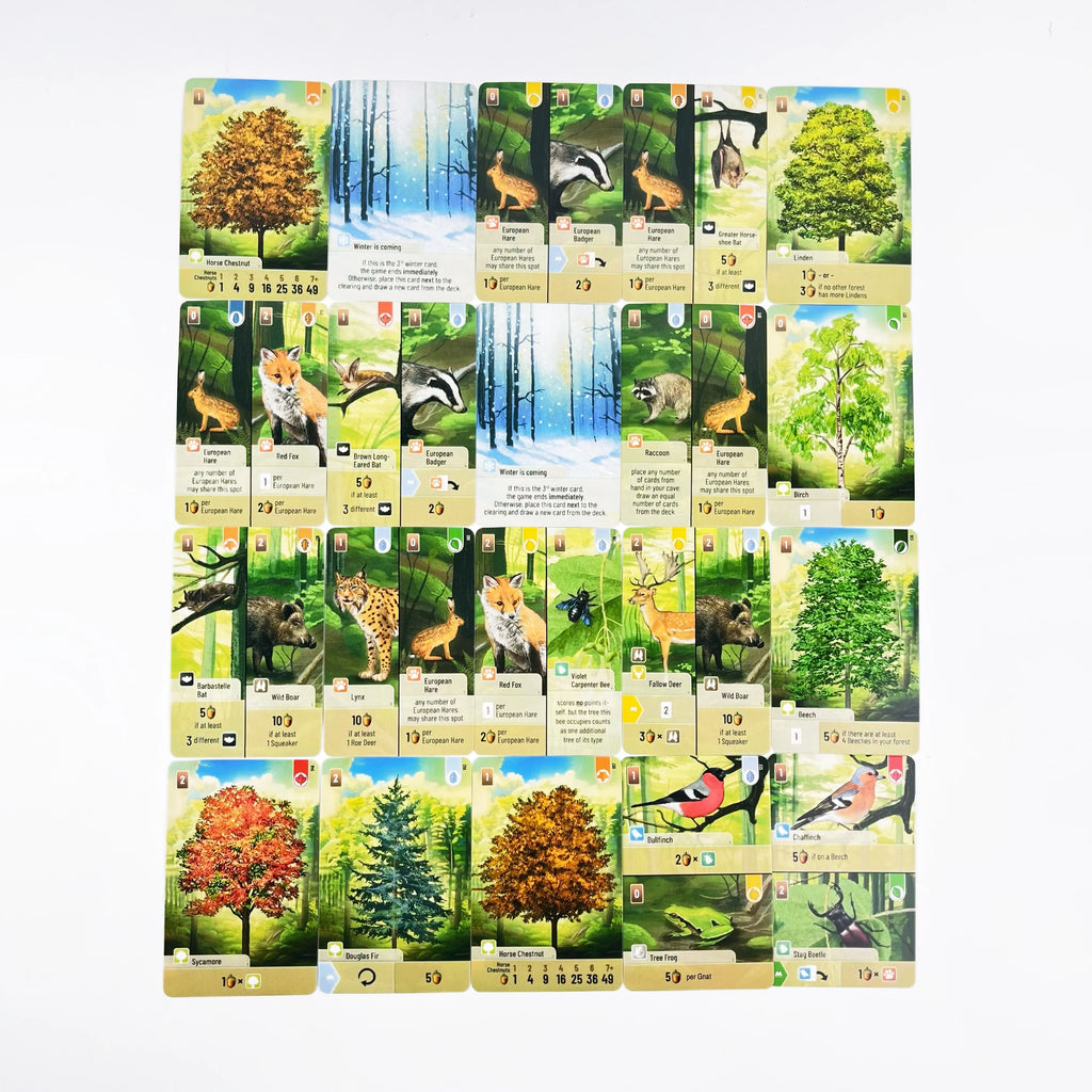 Forest Shuffle Card Game - Clever Strategy Game Fun Family Game for Kids and Adults - Woodland Edge、ALPINE、Expansion Game