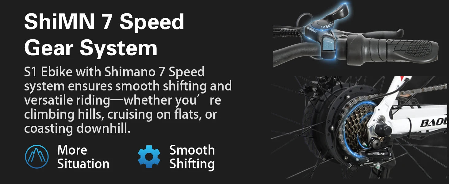 BAOLUJIE DM01 Electric Bike for Adults — 60V 2000W, Up to 42 MPH, Long-Range