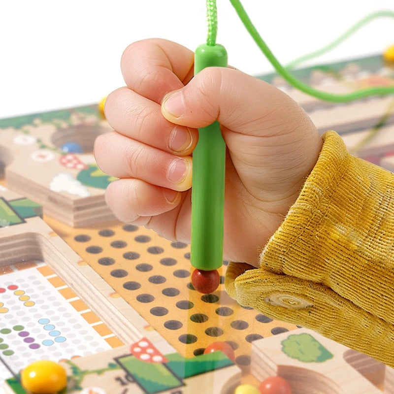 Magnetic Sorting Games Montessori Puzzle Toys Maze Board Learning Color Montessori Classification Wooden Educational Toys
