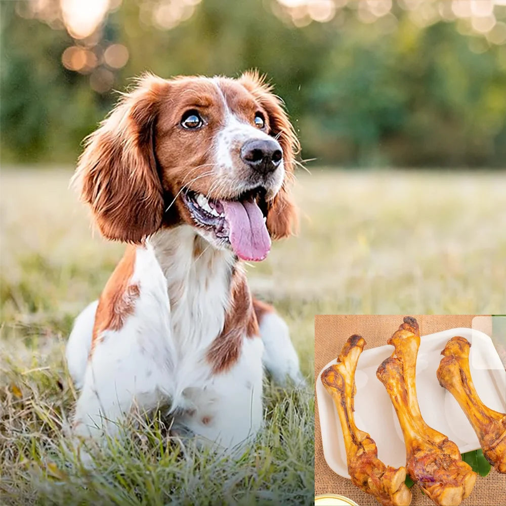 1/2 Pack-2/4 Count x 70-110g Beef Flatbone, Natural Ingredients, Natural Dog Treats, Healthy, Easily Digestible