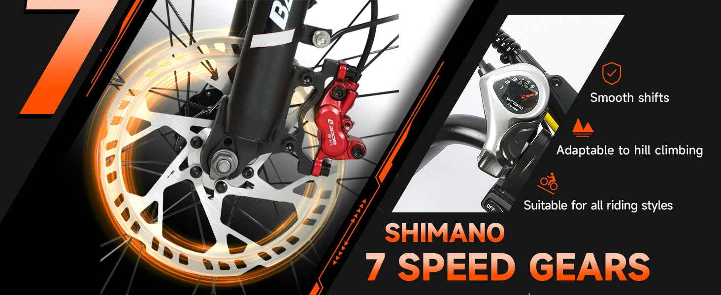 BAOLUJIE DM01 Electric Bike for Adults — 60V 2000W, Up to 42 MPH, Long-Range