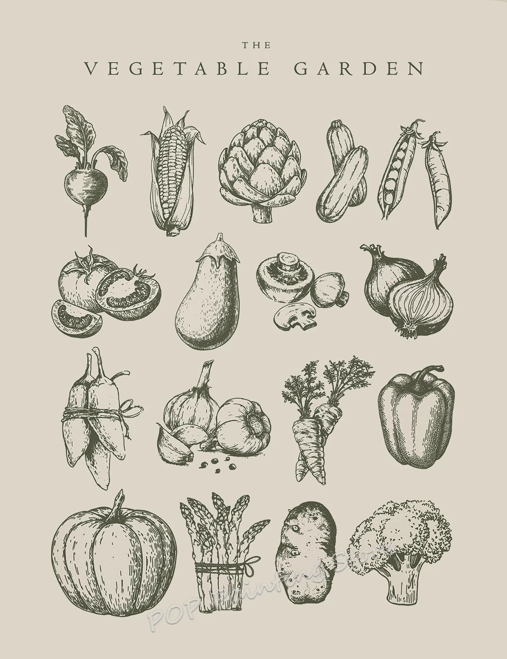 Minimalist Vegetable Canvas Wall Art – Sage Green Botanical (Onion & Carrot) Poster