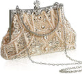 Lost in Vintage Clutch Handbag Beaded and Sequin Kiss-lock Closurer Shoulder Bag Crossbody Detachable ChainProm Evening Party