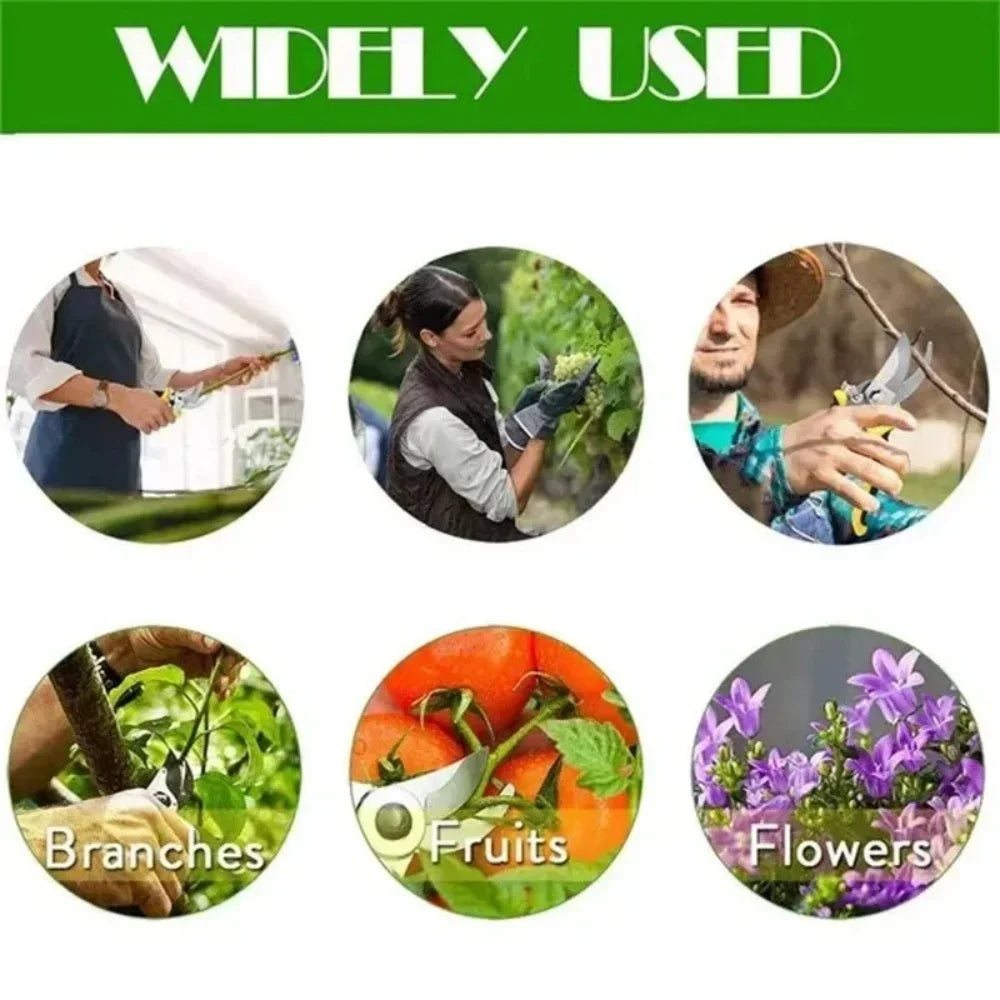 Professional Branch Trimming Garden Pruning Shears Multifunctional Pruner with Stainless Steel Scissors for Vegetable Fruit Tree