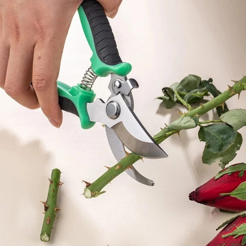 Professional Branch Trimming Garden Pruning Shears Multifunctional Pruner with Stainless Steel Scissors for Vegetable Fruit Tree