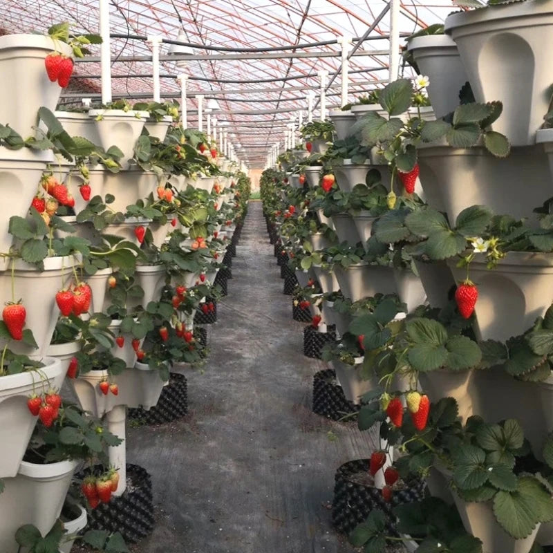 Plastic Flower Pot Multi-Layer Planting Box