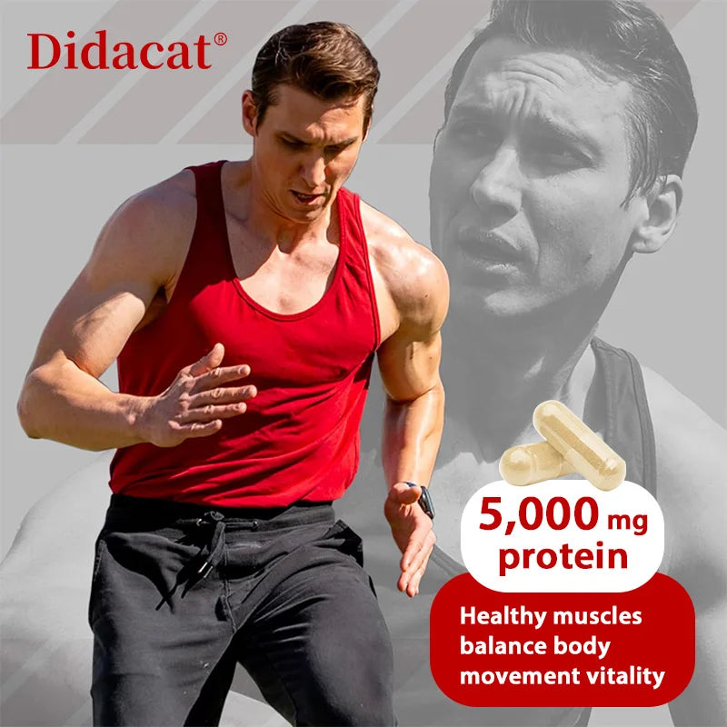 Didacat Whey Protein Capsules – 5000mg Protein Support for Muscle Growth & Recovery | Gluten-Free, Non-GMO (30/60/120 Capsules)