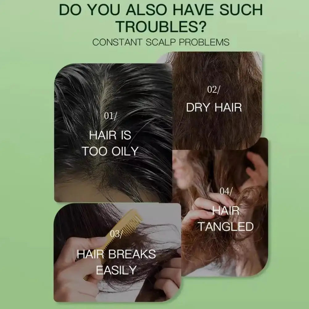 Side Cypress Leaf Salvia Ginger Calendula Shampoo Soap Ginseng Sophora Men Women Silicone-free Amino Acid Herbal Handmade Soap