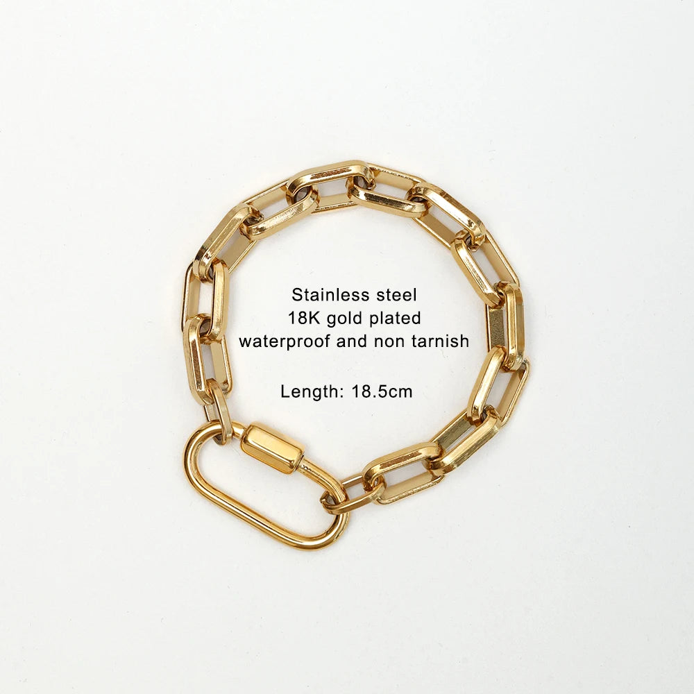 2025 Luxury Gold-Plated Chunky Chain Necklace | Stainless Steel Carabiner Design with Zircon Charms