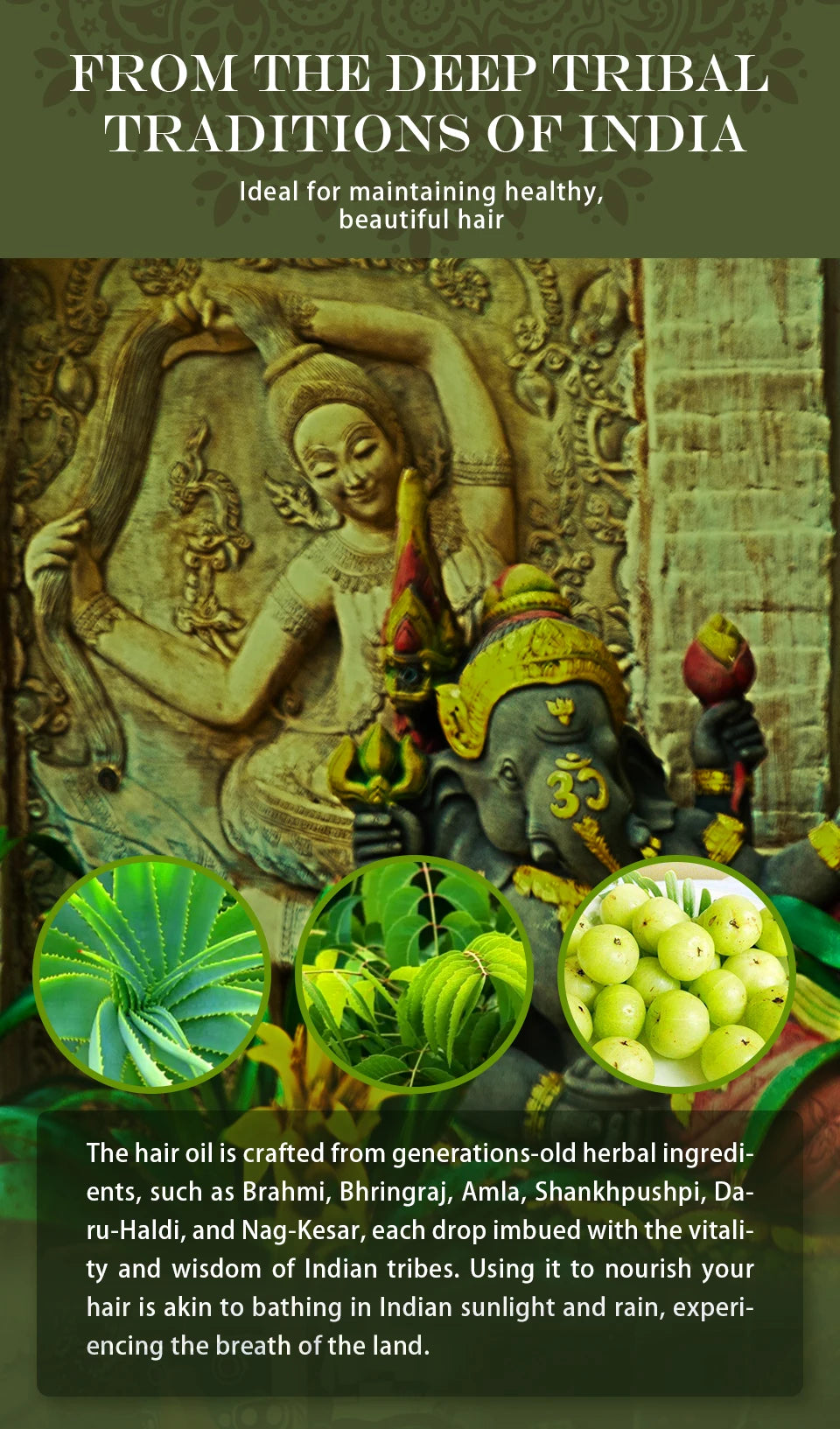 Sevich Ayurvedic Hair Growth Oil – 50ml Adivasi Organic Coconut Oil Serum for Fast Regrowth & Anti-Hair Loss