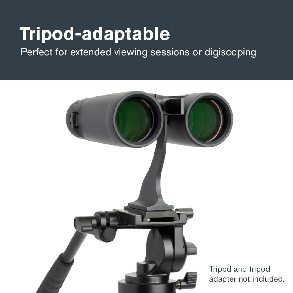 - Outland X 8X42 Binoculars – Ideal for Birding and Outdoors – 42Mm Objective Lenses – Wide 7° Field of View – Bak-4 Prisms – Multi-Coated – Waterproof and Fogproof